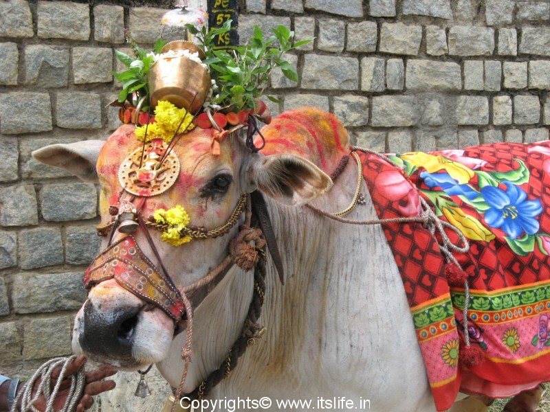 Rajasthan